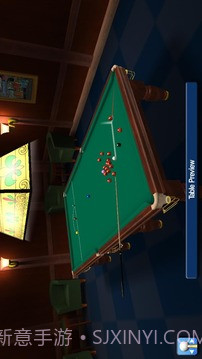 专业斯诺克2012截图2