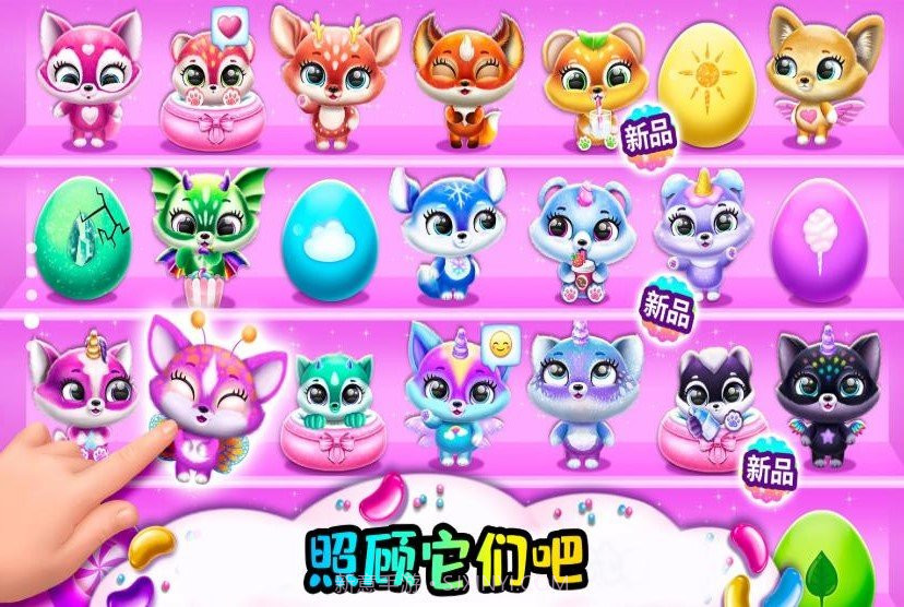 小小宠物乐园截图3