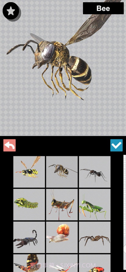 昆虫三维文件截图2