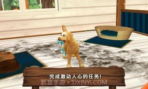 动物旅馆截图5 动物旅馆截图5