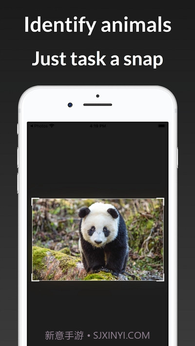 ianimal动物识别截图1 ianimal动物识别截图1
