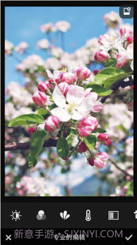 Rookie截图3 Rookie截图3