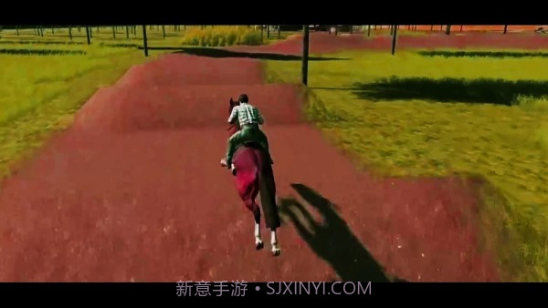 牛仔跑马模拟截图2