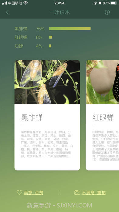 一叶识木截图4 一叶识木截图4