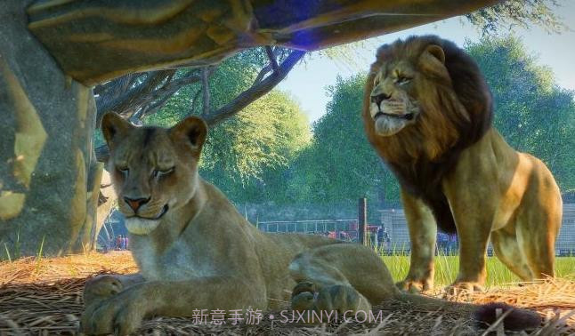 动物园之星ios版截图1