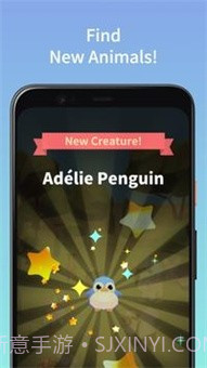 合并可爱的动物截图5