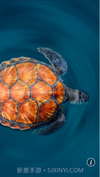 必应搜索截图3 必应搜索截图3