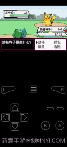 口袋妖怪最后的火红截图3 口袋妖怪最后的火红截图3