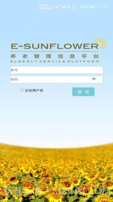 美丽花截图1 美丽花截图1