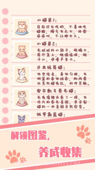 猫咪养成云撸猫截图1