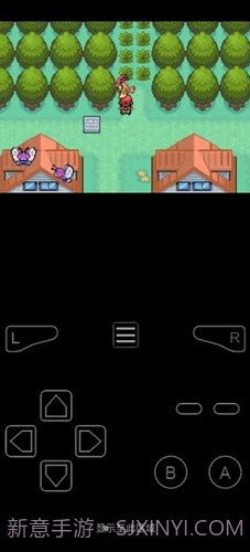 口袋妖怪最后的火红截图1 口袋妖怪最后的火红截图1