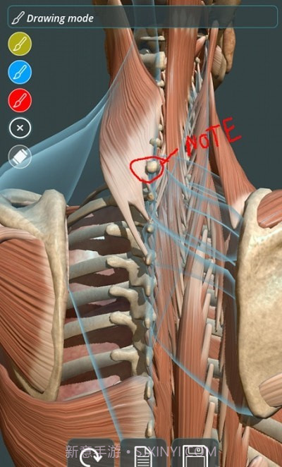 人体3D立体解剖（Visual Anatomy 3D - Human）截图4