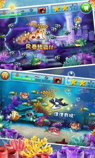 大鱼吃小鱼双人版截图2 大鱼吃小鱼双人版截图2