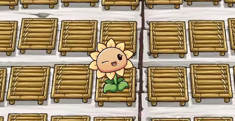 一株向日葵截图3 一株向日葵截图3