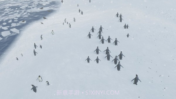 自然本能截图4 自然本能截图4