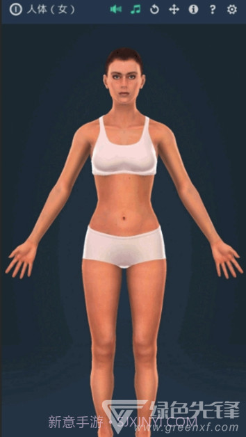人体系统女性3D软件(专业3D人体结构)V1.1 安卓最新版截图2 人体系统女性3D软件(专业3D人体结构)V1.1 安卓最新版截图2
