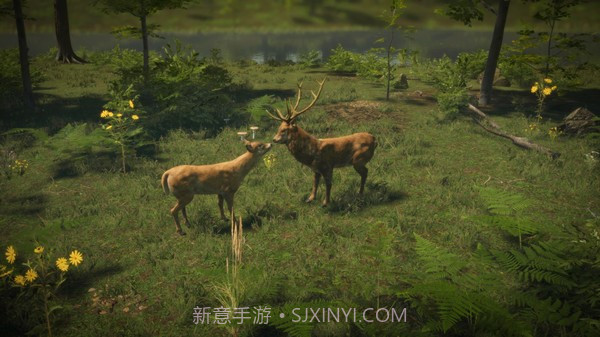 自然本能截图3 自然本能截图3