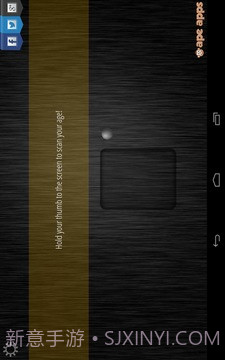 年龄扫描仪截图4