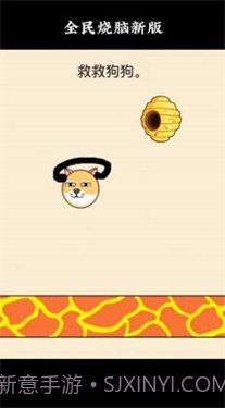救救狗狗蜜蜂截图2 救救狗狗蜜蜂截图2