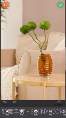 镜像相机截图3 镜像相机截图3