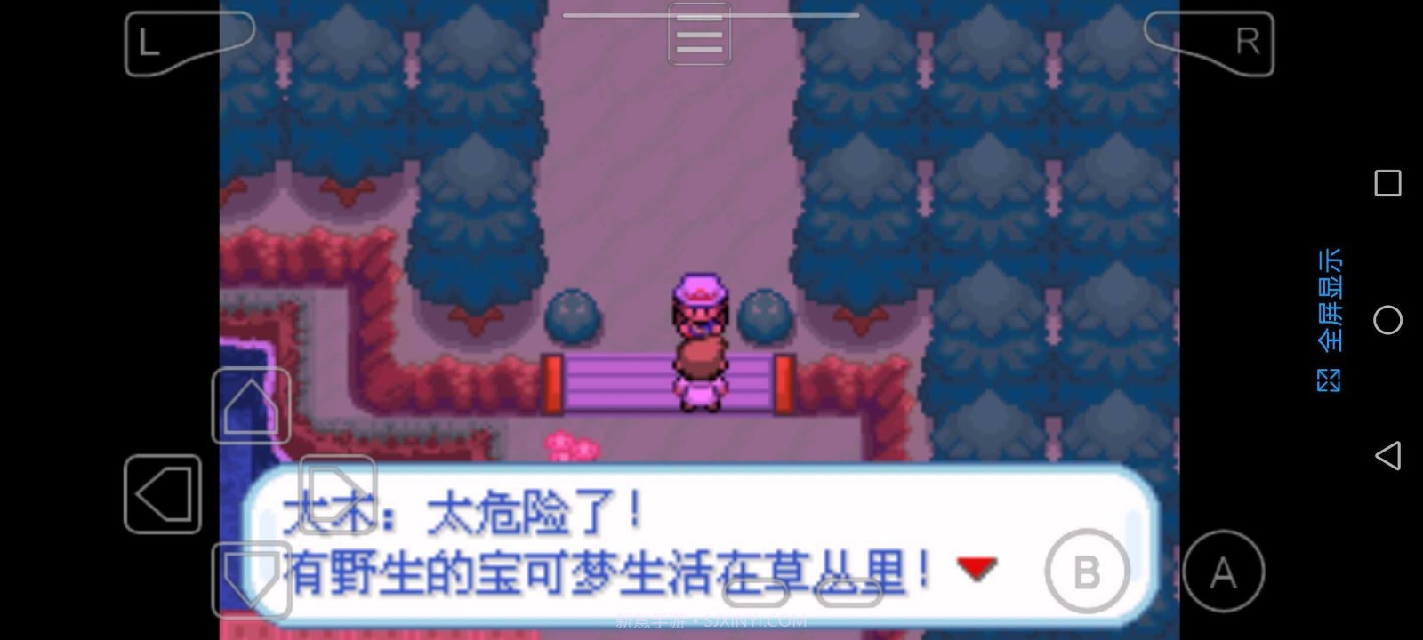 精灵宝可梦圣光白截图3