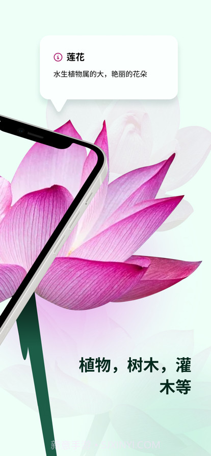 植物花形色拍照识花识别植物截图2