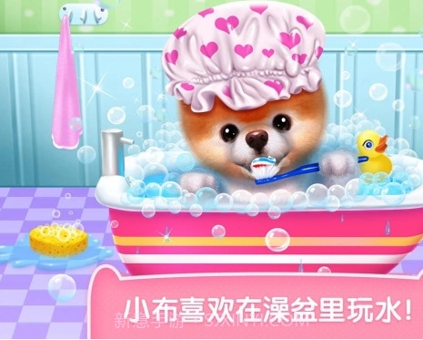 可可公主宠物小布截图1