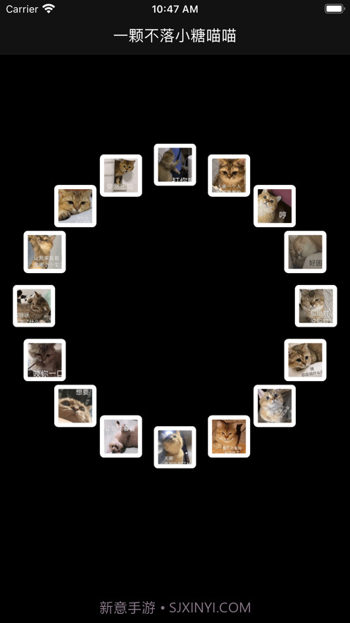 一颗不落小糖喵喵截图2 一颗不落小糖喵喵截图2