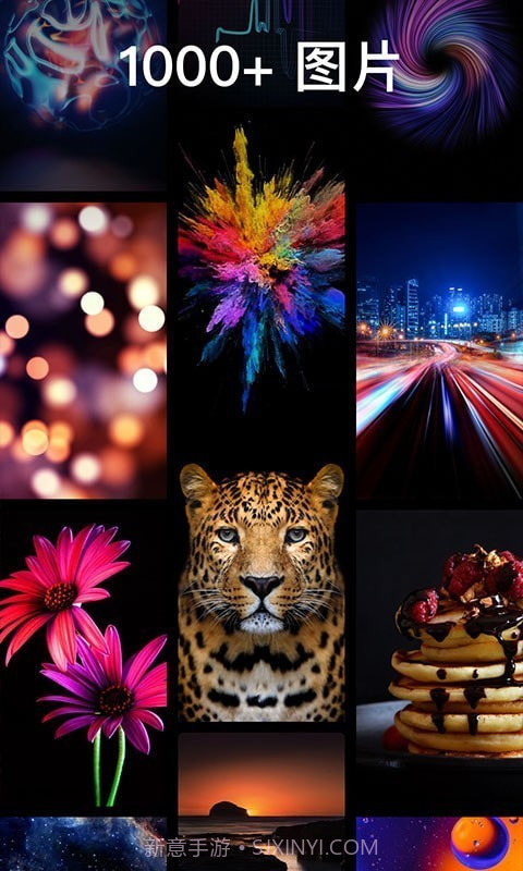 灵猫壁纸大全截图2 灵猫壁纸大全截图2