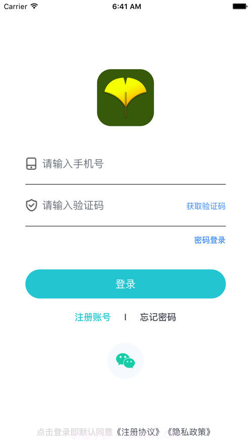 白果树截图1