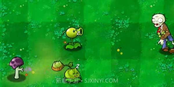 植物大战僵尸PVZ版截图2 植物大战僵尸PVZ版截图2