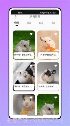 鼠语音翻译器截图1 鼠语音翻译器截图1