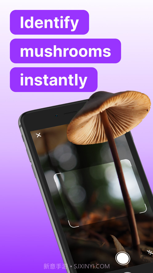 蘑菇标识符截图1 蘑菇标识符截图1