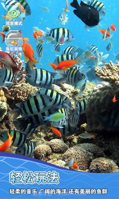 假装鱼缸模拟器截图2