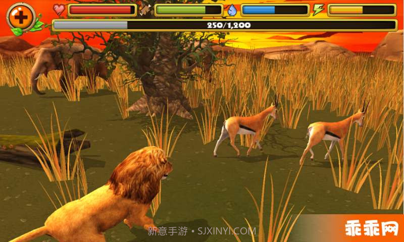 狮子模拟截图5 狮子模拟截图5