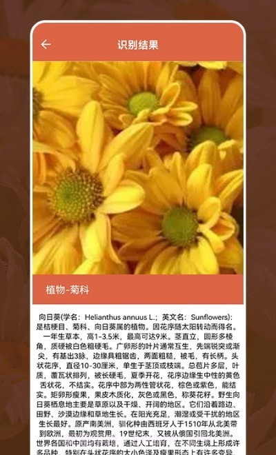 动植物识别大全截图2 动植物识别大全截图2
