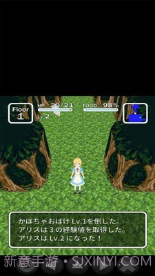 爱丽丝与不思议的迷宫截图5