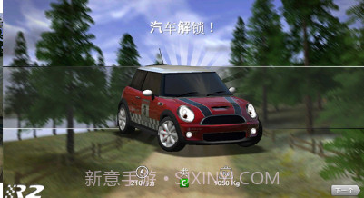 Rush Rally 2截图1