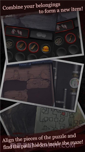 白岛截图2 白岛截图2