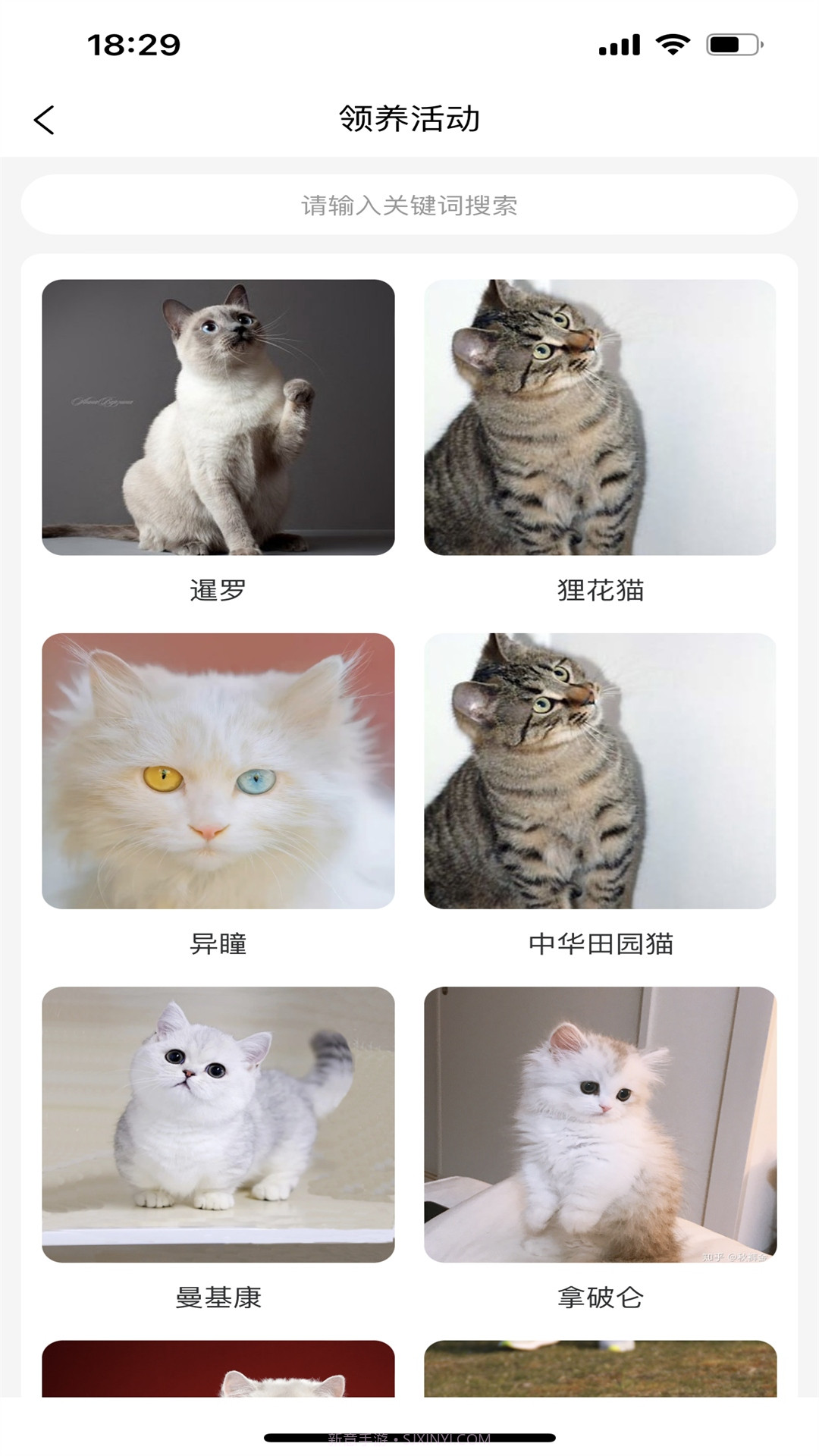 宠哩吖商城截图1 宠哩吖商城截图1