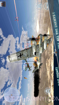 3D空战二战雄鹰截图1
