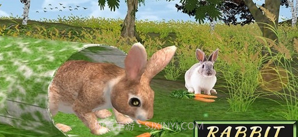 兔子模拟器截图1 兔子模拟器截图1