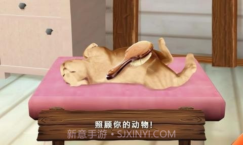 动物旅馆正版截图3 动物旅馆正版截图3