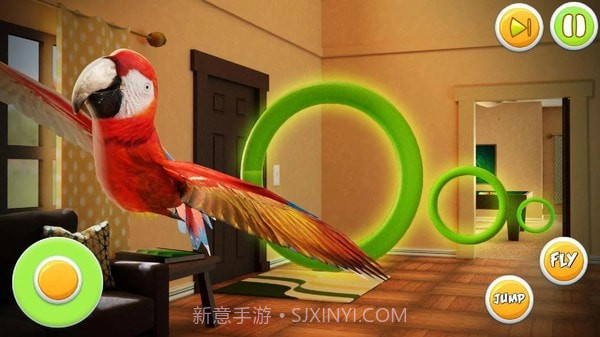 宠物鹦鹉模拟器截图2