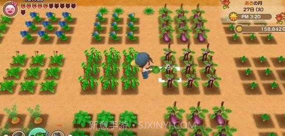 牧场物语再会矿石镇截图2 牧场物语再会矿石镇截图2