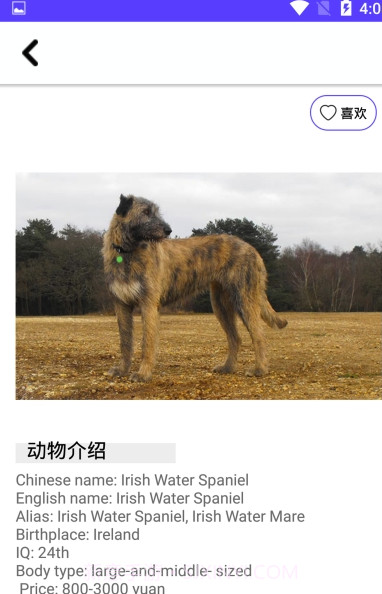 狗狗图鉴(专业动物科普图鉴)安卓正式版截图2