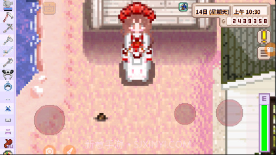 星露谷物语法师结婚mod美化包截图3 星露谷物语法师结婚mod美化包截图3