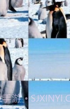 企鹅拼图游戏截图3