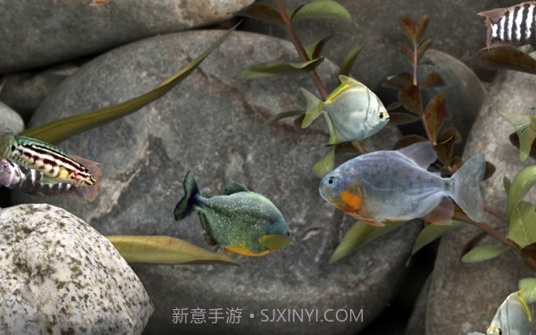 我的水族箱3d截图1