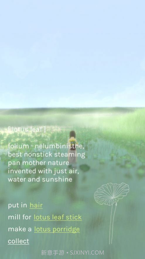 freeland心旷之地截图2